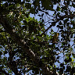 Meet your Posher, Paige